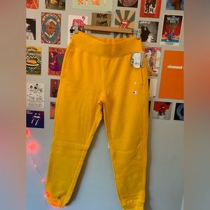Pacsun Champion sweatpants, Size medium, brand new with tags